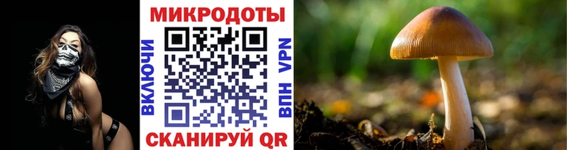 Псилоцибиновые грибы Psilocybine cubensis Красноярск